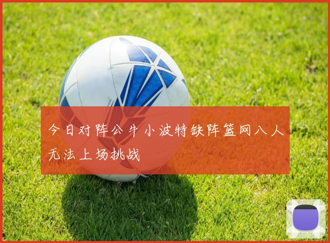 今日对阵公牛小波特缺阵篮网八人无法上场挑战
